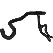 Rapro R12299 Radyator Hortumu Alt 7700843464