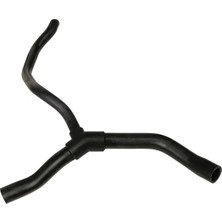 Rapro R12167 Radyator Hortumu Alt 7700435712