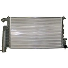 MGA 80408 Motor Radyatoru 133045