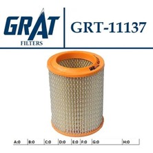 Grat 11137 Hava Filtresi 7701001494