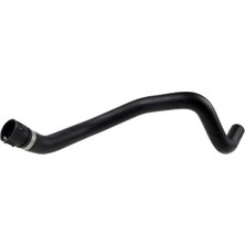 Rapro R14124 Radyator Hortumu Alt PCH000220 PCH001380