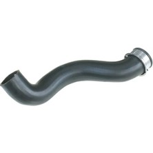 Rapro R28185 Radyator Hortumu Alt A2115011082