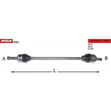 MGA 70342 On Aks Sag 374468