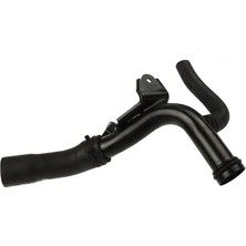 Rapro R12588 Radyator Hortumu 8200365275 8200801589