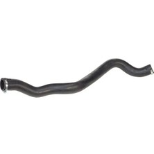 Rapro R27120 Turbo Hortumu 6001549066