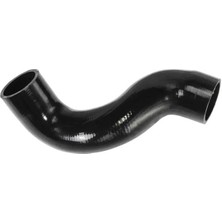 Rapro R25237 Turbo Hortumu 701145828