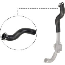Rapro R12501 Turbo Hortumu 8200534296
