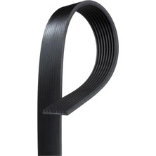 Gates 8PK1614HD (8PK1614) Kayis 0029934596 0049930096 8PK1614