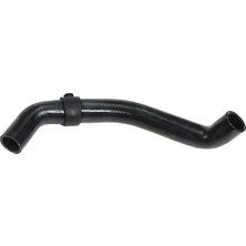 Rapro R16124 Radyator Hortumu Ust 1661877 6182777 6183155