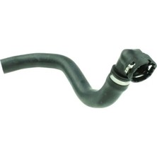 Rapro R32109 Radyator Hortumu Alt 60685104