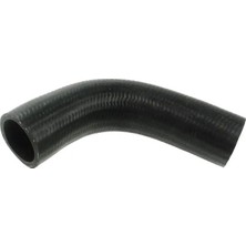 Rapro R18287 Yakit Hortumu 806117