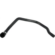 Rapro R19387 Devirdaim Hortumu 64216928590