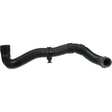 Rapro R28181 Radyator Hortumu Alt A2035012882