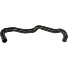 Rapro R12352 Radyator Hortumu Alt 8200173008