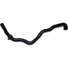 Rapro R31126 Radyator Hortumu Alt 30620525