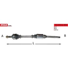 MGA 70248 On Aks Sag 32737Q