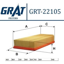 Grat 22105 Hava Filtresi A6110940004