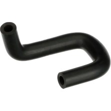 Rapro R12231 Yakit Hortumu 7700740973