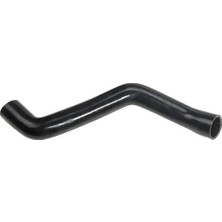 Rapro R18119 Radyator Hortumu Alt 1337205 1337209 1337342