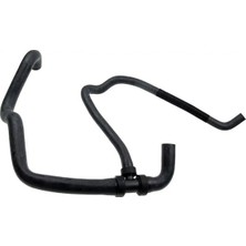 Rapro R12532 Radyator Hortumu Alt 215030070R