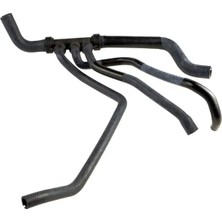 Rapro R12346 Radyator Hortumu Alt 8200106725