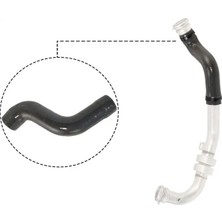 Rapro R12537 Turbo Hortumu 8200760281