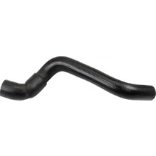 Rapro R12437 Radyator Hortumu Alt 7700790240