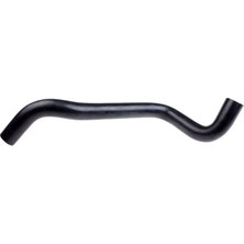 Rapro R12186 Radyator Hortumu Alt 8200233967