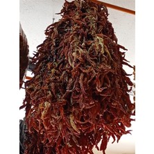 Aktar Depo Kuru Biber Kızartmalık Tatlı 20 Li