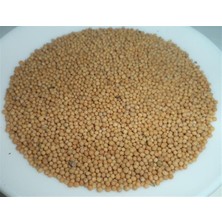 Aktar Depo Hardal Tohumu Sarı