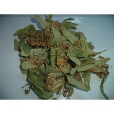 Aktar Depo Ihlamur Yaprak