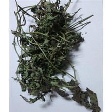 Aktar Depo Melisa Otu (Dağ) Dallı