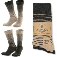Gowith 2 Çift Alpaka Yünlü Termal Çizgili Yıkamalı Doğal Kışlık Kadın Erkek Çorap 3098
