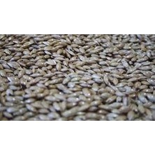 Aktar Depo Kuş Yemi Ince(Sivri)