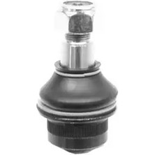 Votto 1510104 Rotil Alt