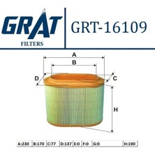 Grat 16109 Hava Filtresi 281304A001