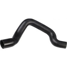 Rapro R12441 Radyator Hortumu Alt 7700822052