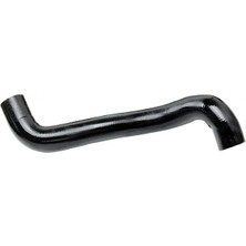 Rapro R12185 Radyator Hortumu Ust 8200233966