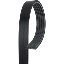 Gates 5PK923 Kayis 128019 71749432 7618111