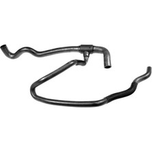 Rapro R27146 Radyator Hortumu Alt 215036265R