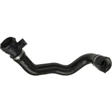 Rapro R19131 Radyator Hortumu Alt 11531436409