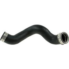 Rapro R28215 Turbo Hortumu A9065281182