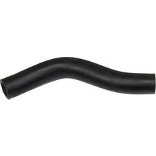 Rapro R12227 Yag Sogutucu Hortumu 7700736869