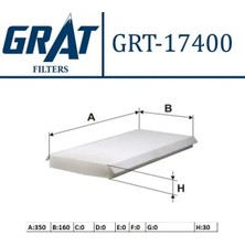 Grat 17400 Polen Filtresi XS4H16N619AB