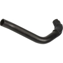 Rapro R12435 Radyator Hortumu Alt 7700765906