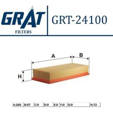 Grat 24100 Hava Filtresi 8200985420