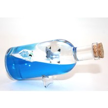 Çılgın Tahtakale Şişe Içinde Batmayan Gemi Model 2