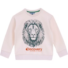 Discovery Expedition Baskılı Erkek Çocuk Krem Sweatshırt D5WB-SWT3042