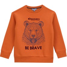 Discovery Expedition Baskılı Erkek Çocuk Kiremit Sweatshırt D5WB-SWT3041
