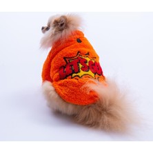 Pawstar Turuncu Doha Go! Urban Moods Peluş Köpek Kıyafeti Kedi Kıyafeti Köpek Sweati